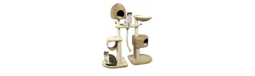 Cat - Cat trees